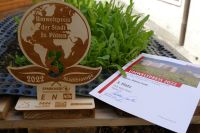 umweltpreis3-web